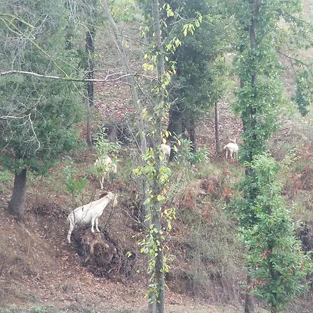 Agriturismo Cascina Aurora