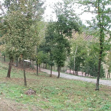 Фермерский дом Agriturismo Cascina Aurora