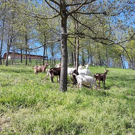 Agriturismo Cascina Aurora Фермерский дом Акви Терме