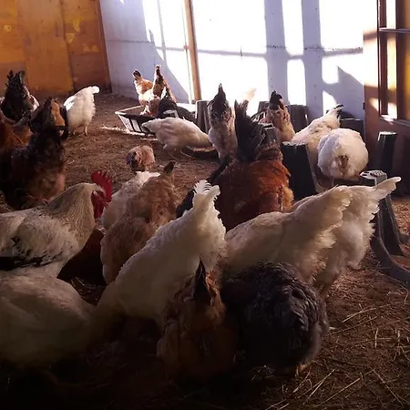 Agriturismo Cascina Aurora Agroturismo