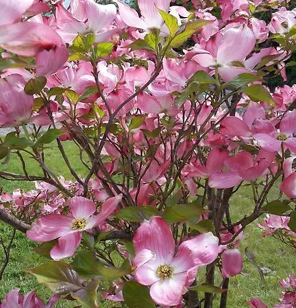 Agriturismo Cascina Aurora
